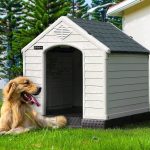 Waleaf Plastic Dog House Outdoor Indoor for Small Medium Larige Dogs,Waterproof Dog Houses with Elevated Floor and Air Vents,Durable Ventilate & Easy Clean and Assemble - Image 15